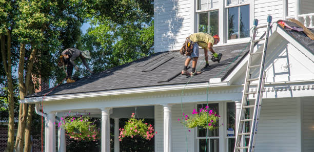 Best Storm Damage Roof Repair  in , AK